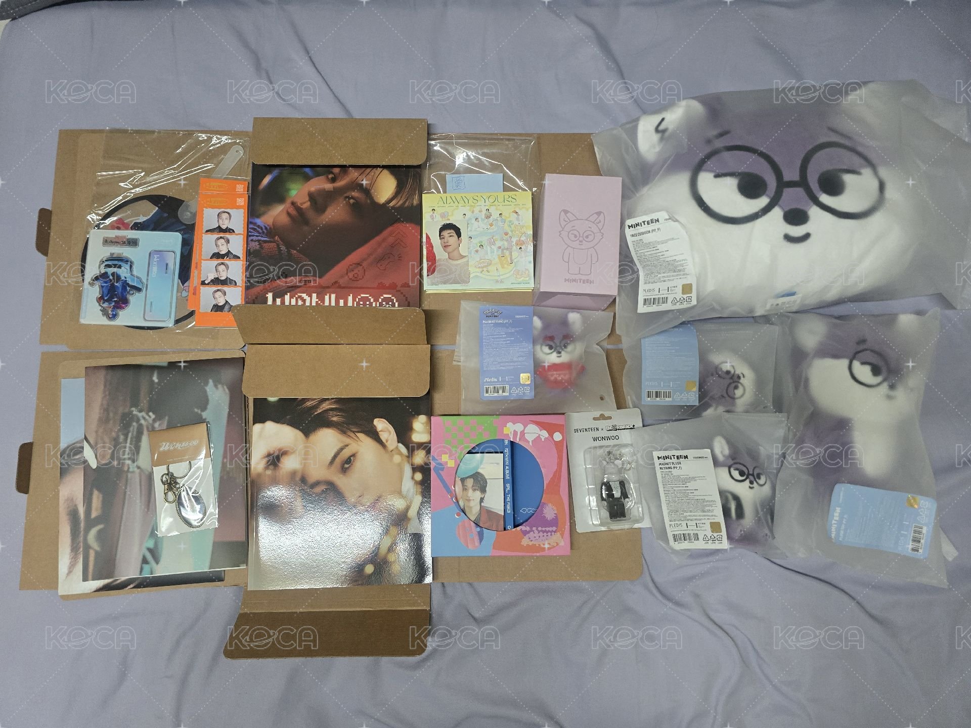 全圓佑Foxdungee大盤組-抱枕與站娃下水過