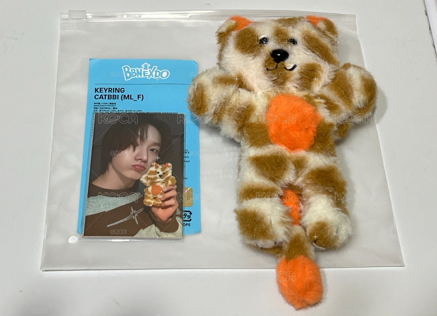 一代貓比