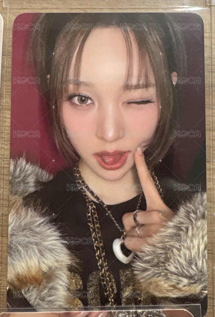 十一