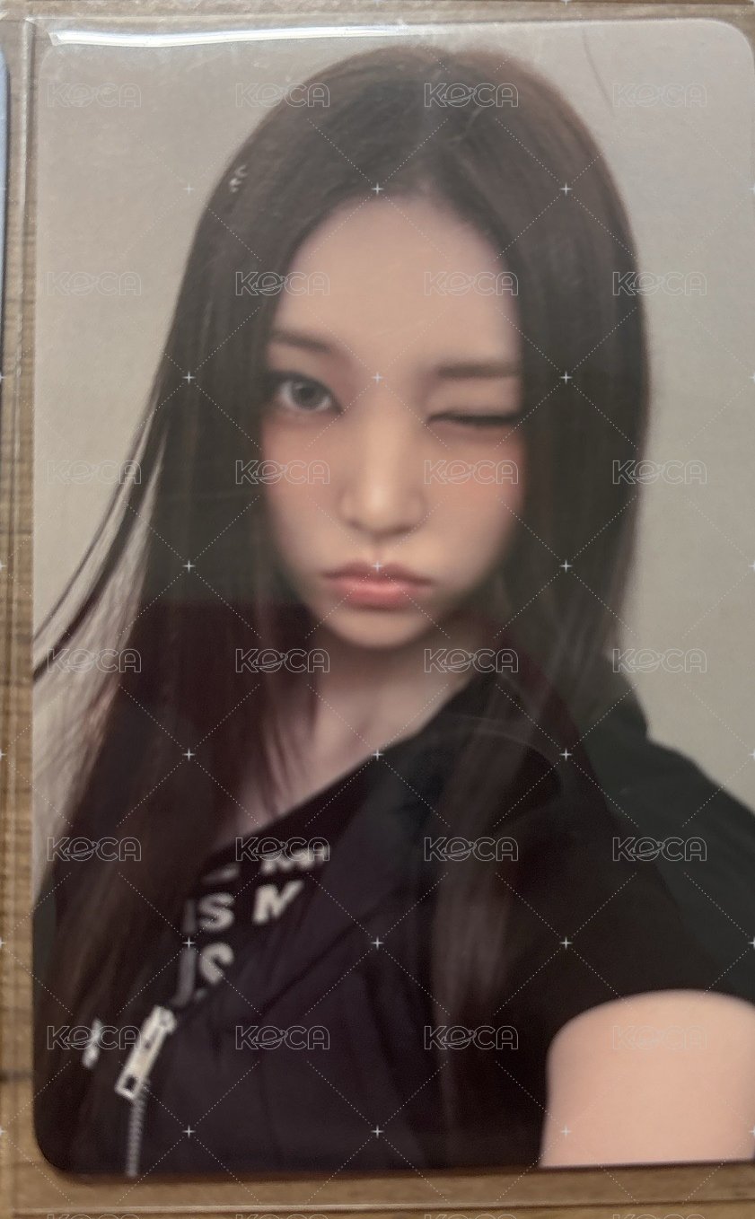 二十四