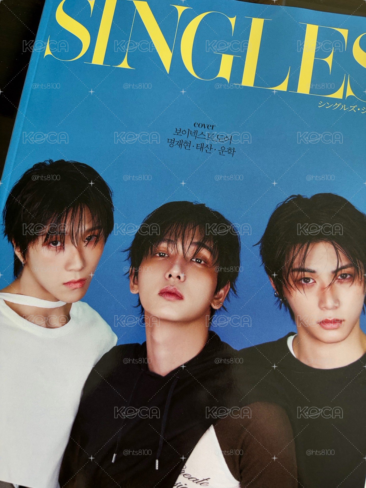 Singles JAPAN VOL.20 雜誌 