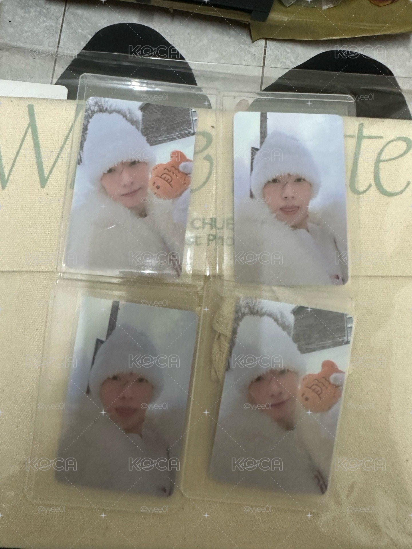 崔立于寫真書