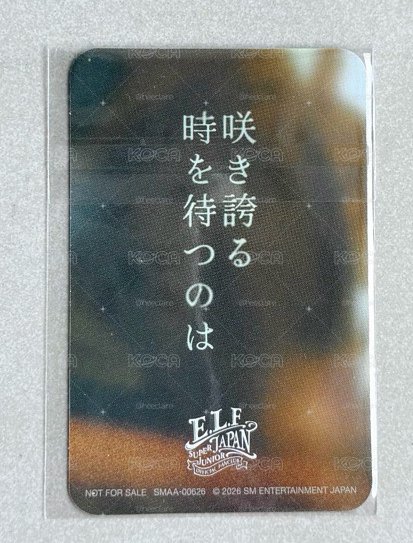 SJ 藝聲 SM日巡會員抽選卡 限定卡片 金康熏