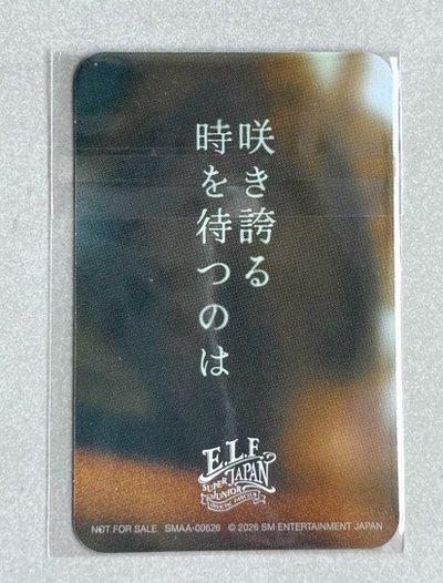 SJ 藝聲 SM日巡會員抽選卡 限定卡片 金康熏