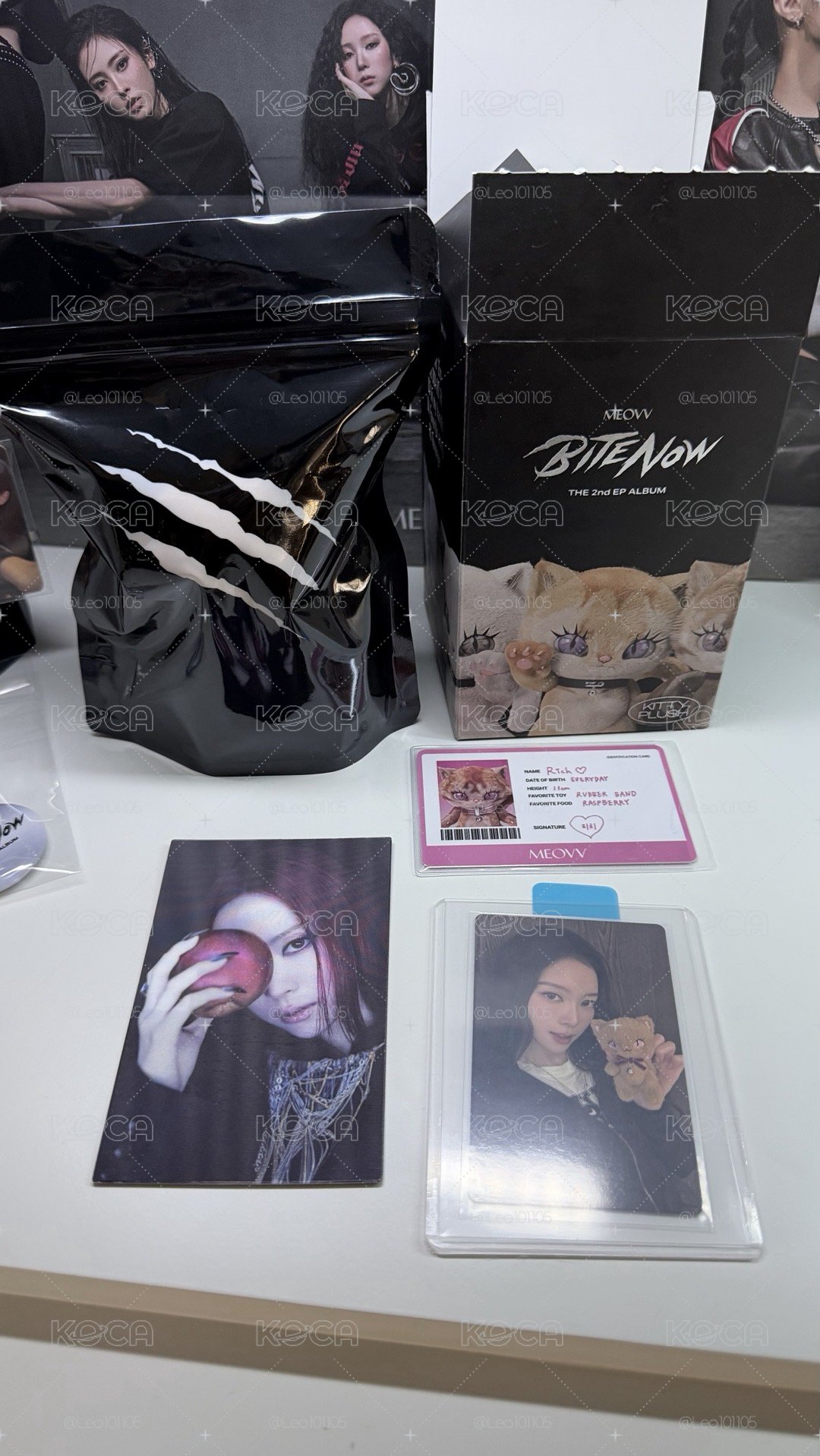 BITE NOW Narin 電子專 KITTY PLUSH ver.