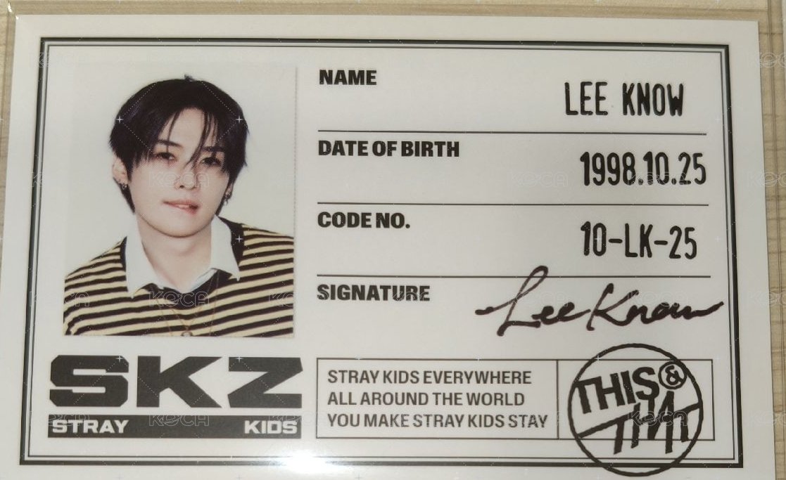 Lee Know 咬唇證件照