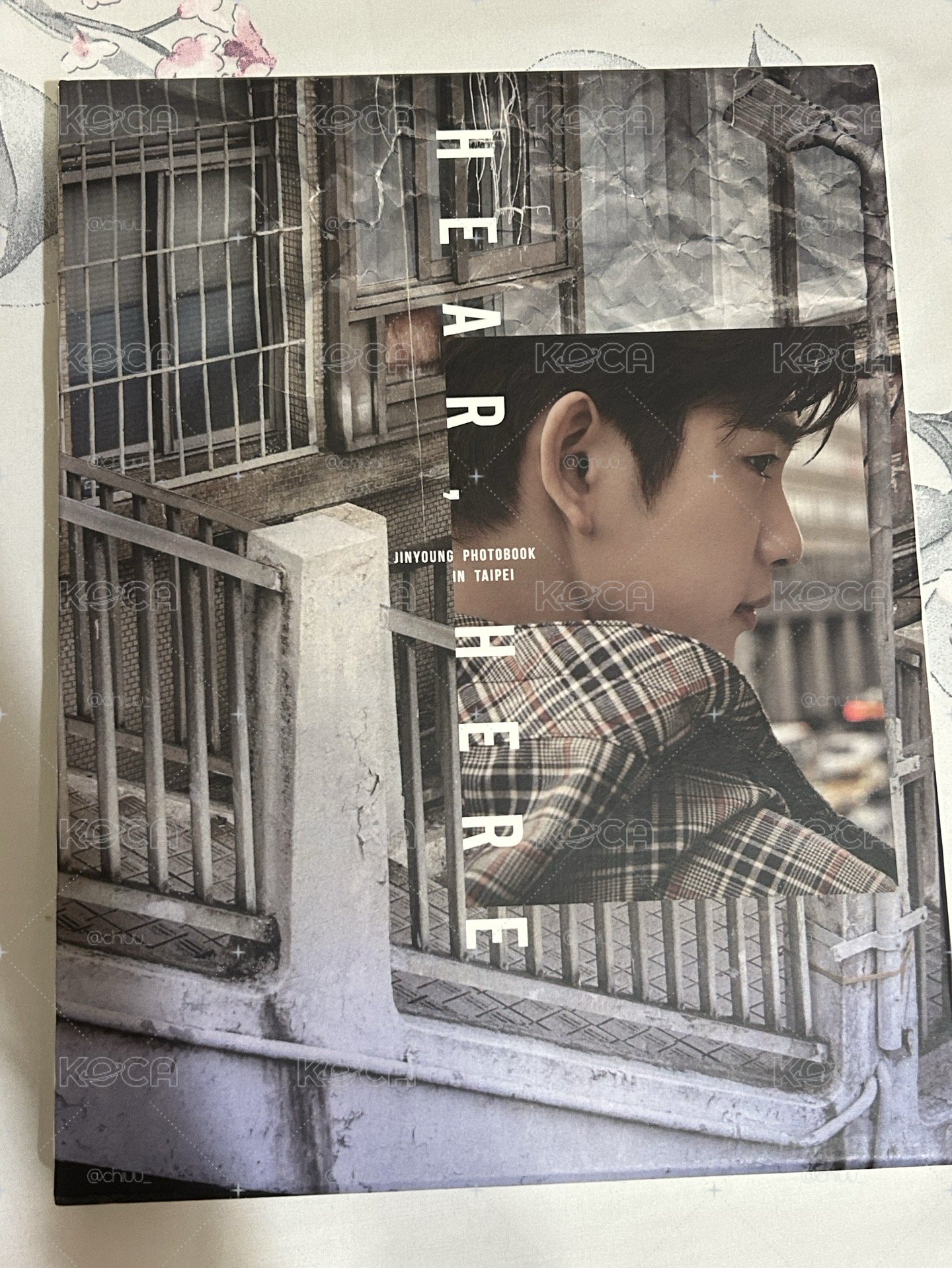 朴珍榮 Hear Here台北寫真書