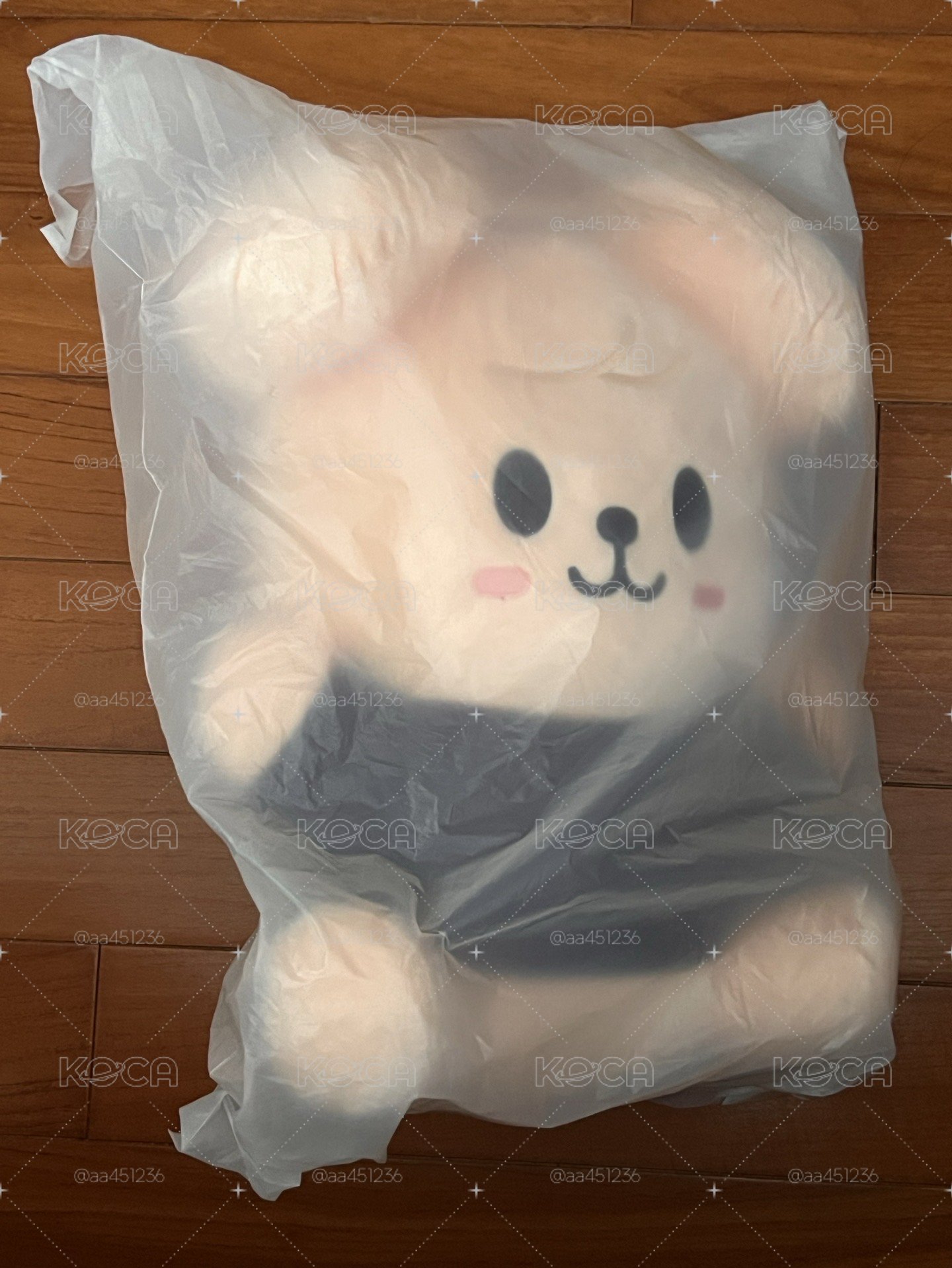 帕皮 抱抱娃 附線上滿額一組