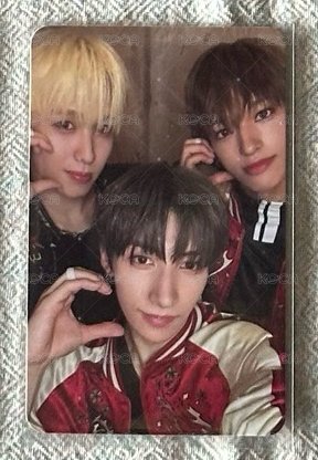 迷三🐈‍⬛🐿️🦌專卡