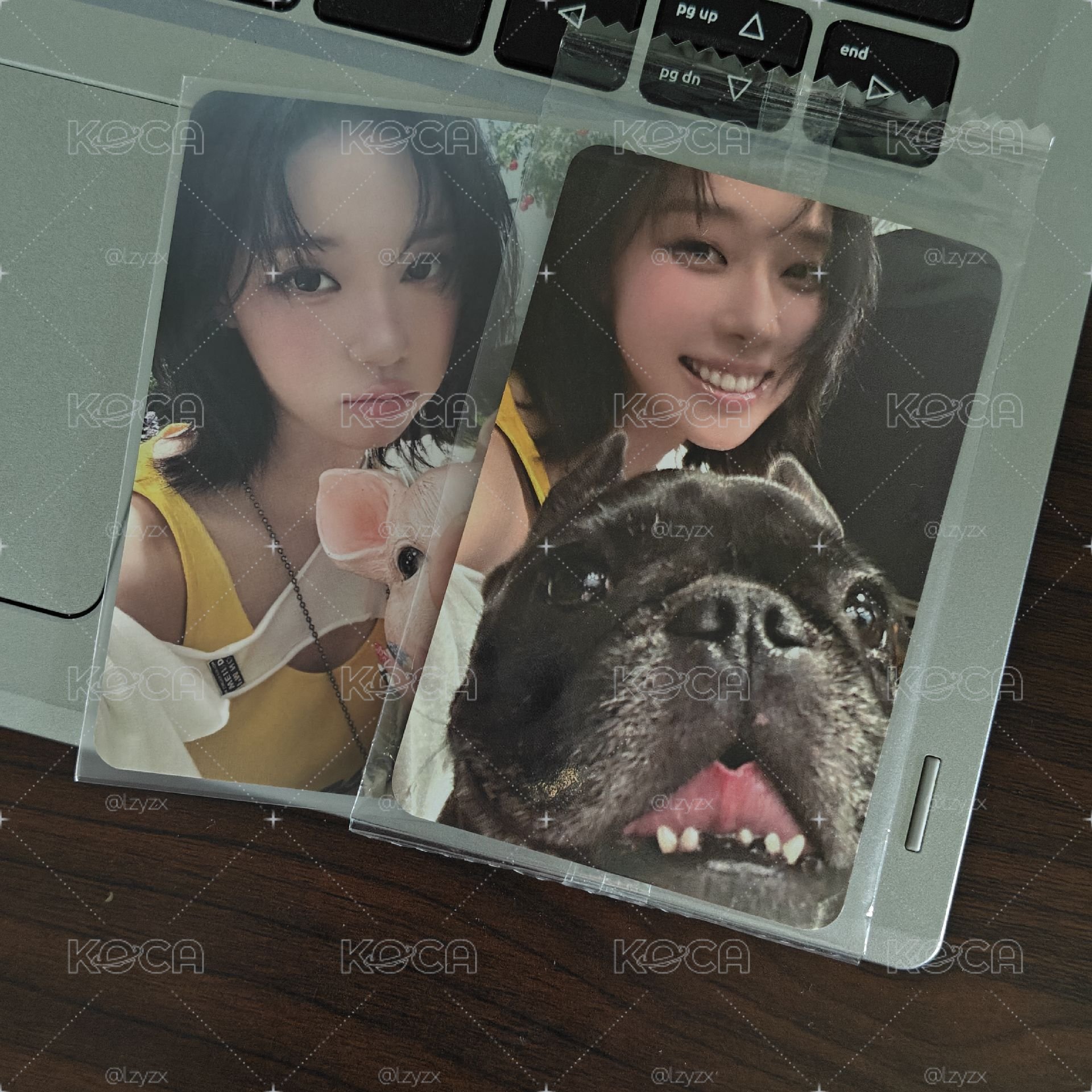冬天與小動物