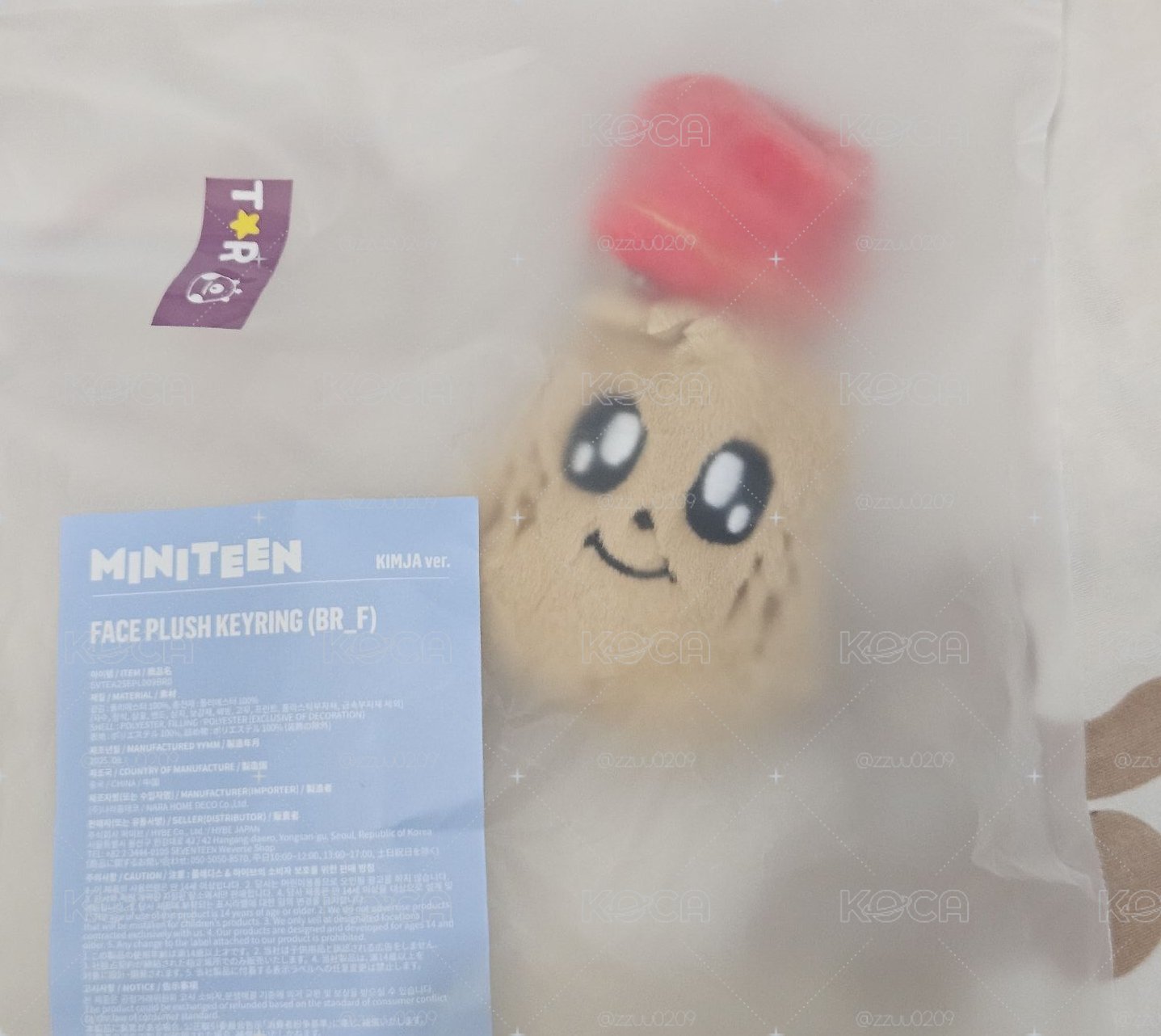 MINITEEN 奎大頭 全新