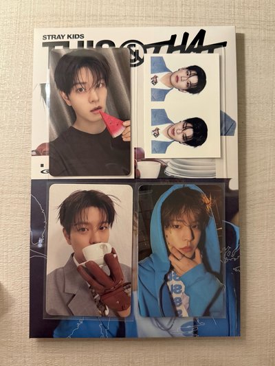 Stray Kids <THIS & THAT> 全專