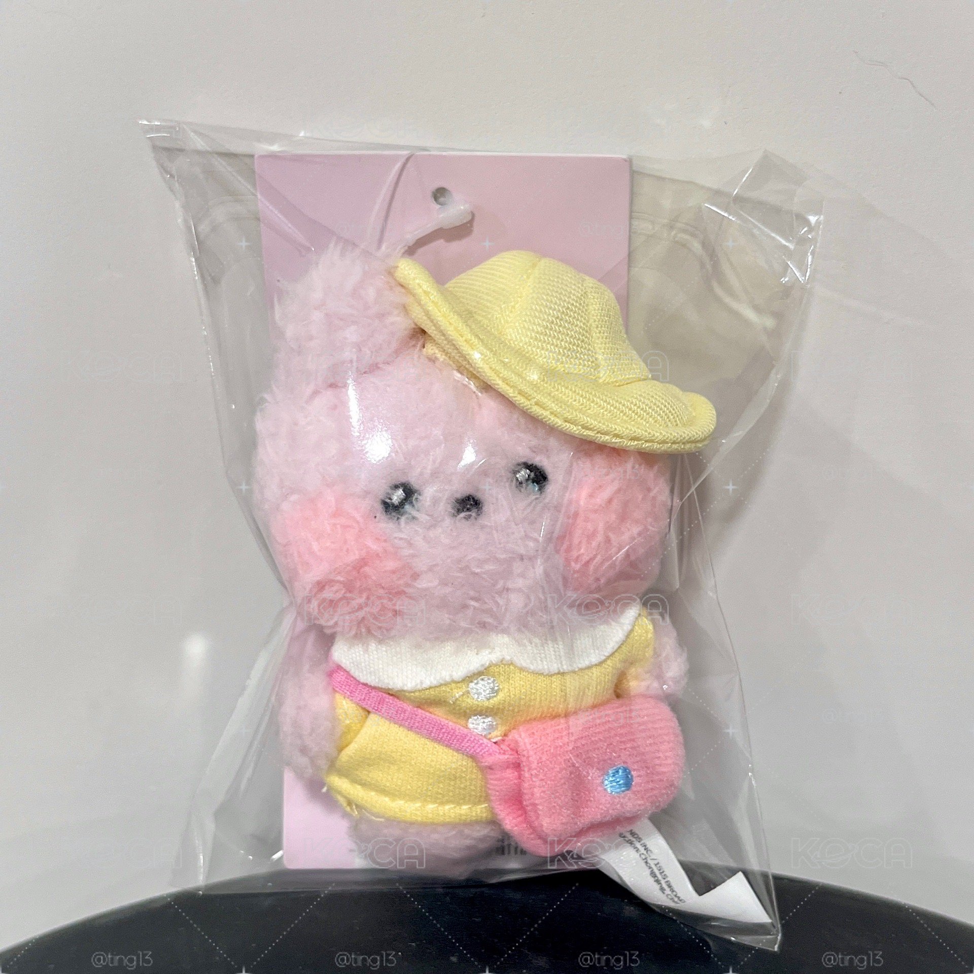 現貨 BT21野餐吊飾COOKY