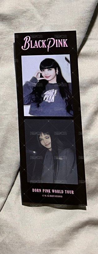 二巡Lisa人生四格