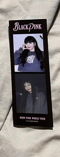 二巡Lisa人生四格
