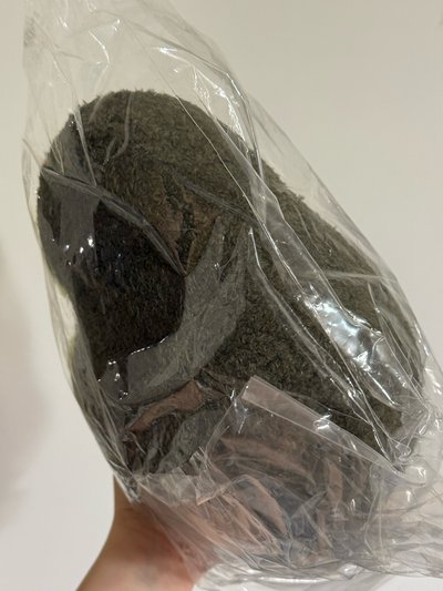 酪梨熊