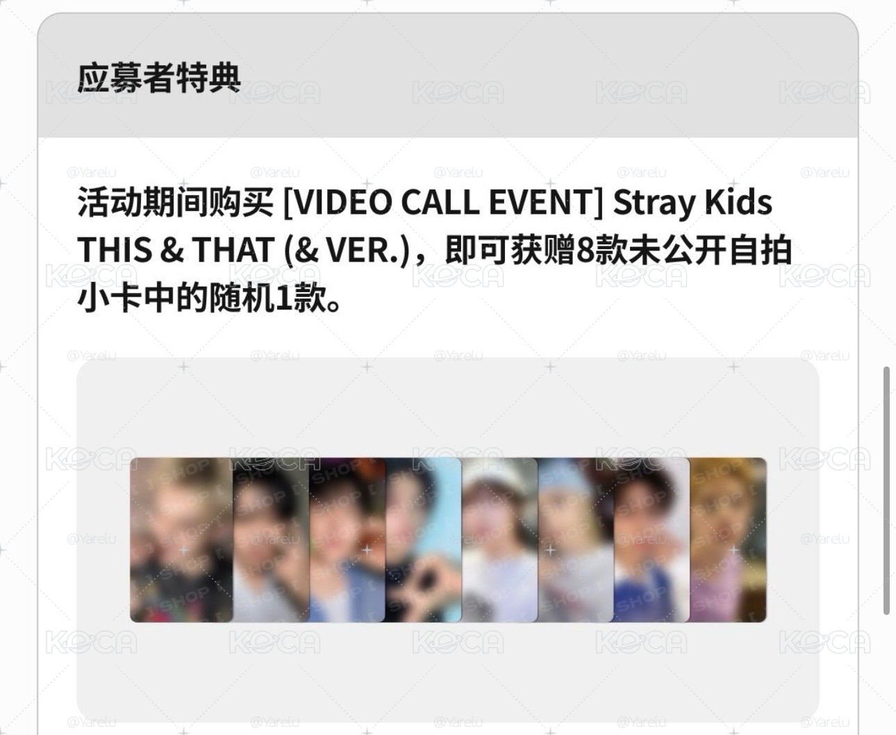 Stray Kids Fans Shop 應募專輯 特典