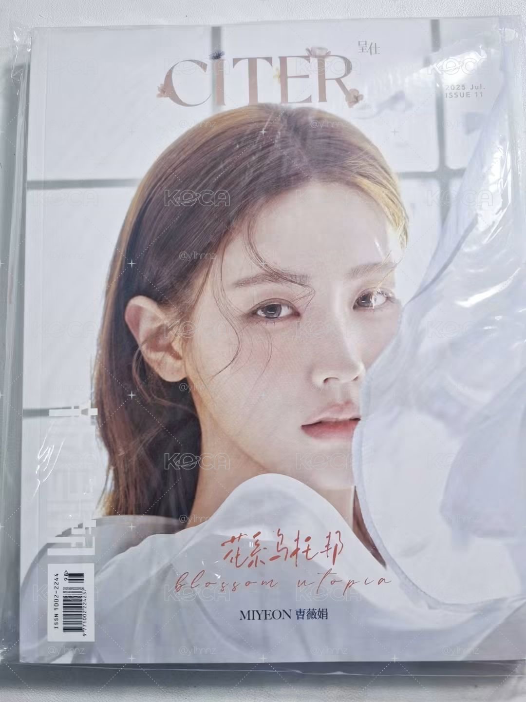 小盤