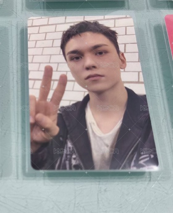 Vernon 