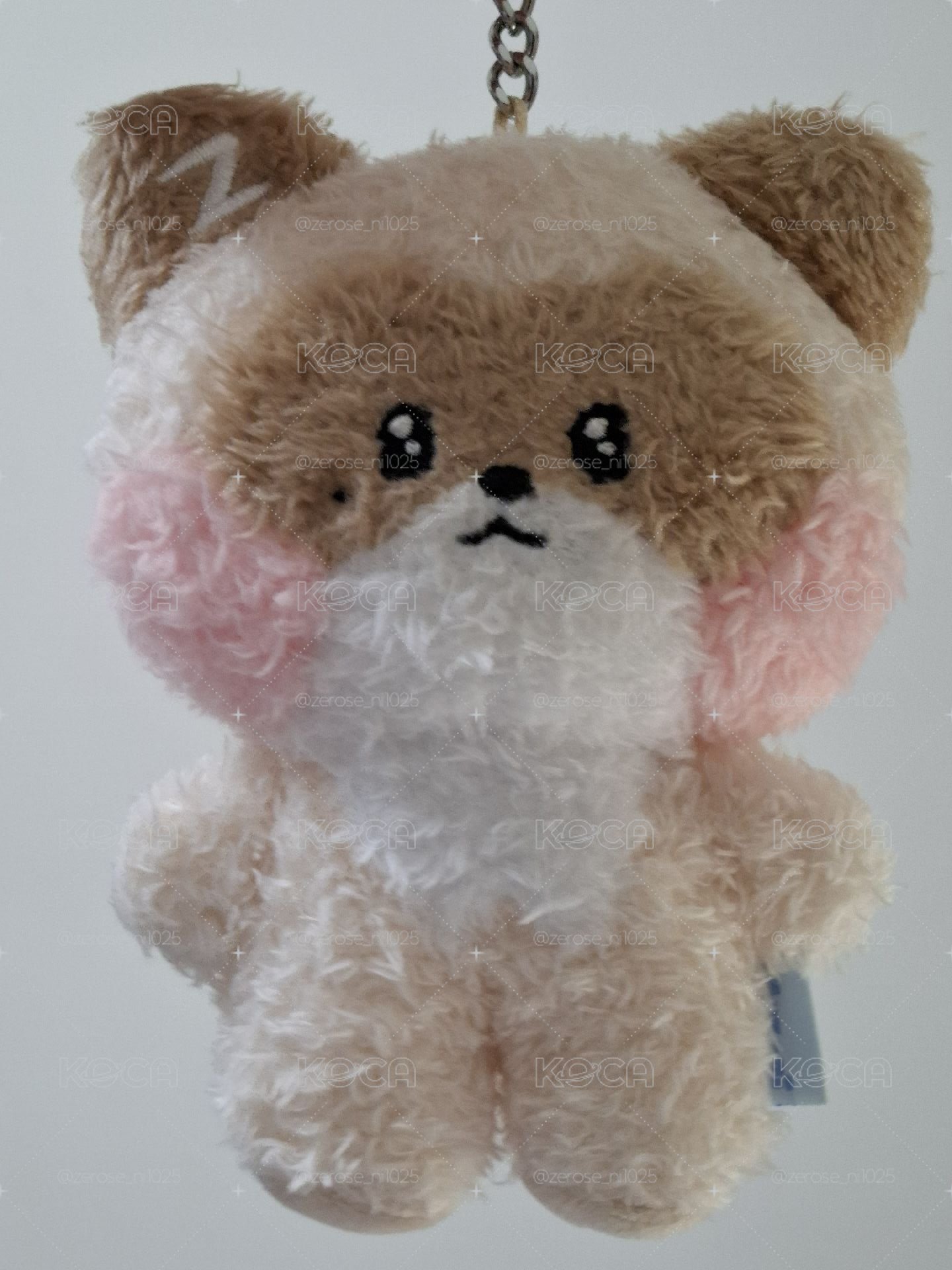 哈尼尼