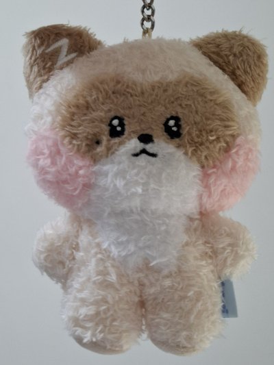哈尼尼