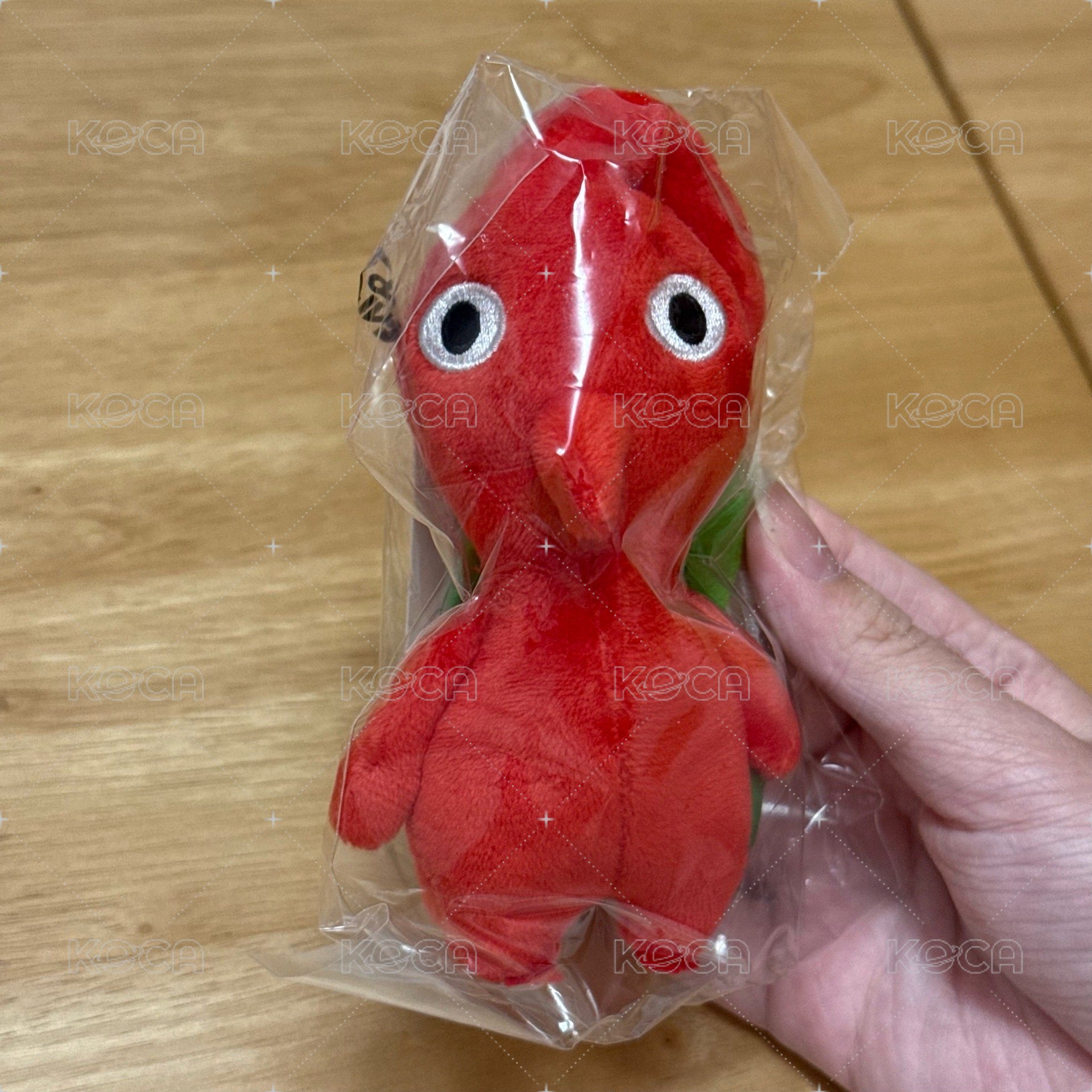 紅皮（綠葉）