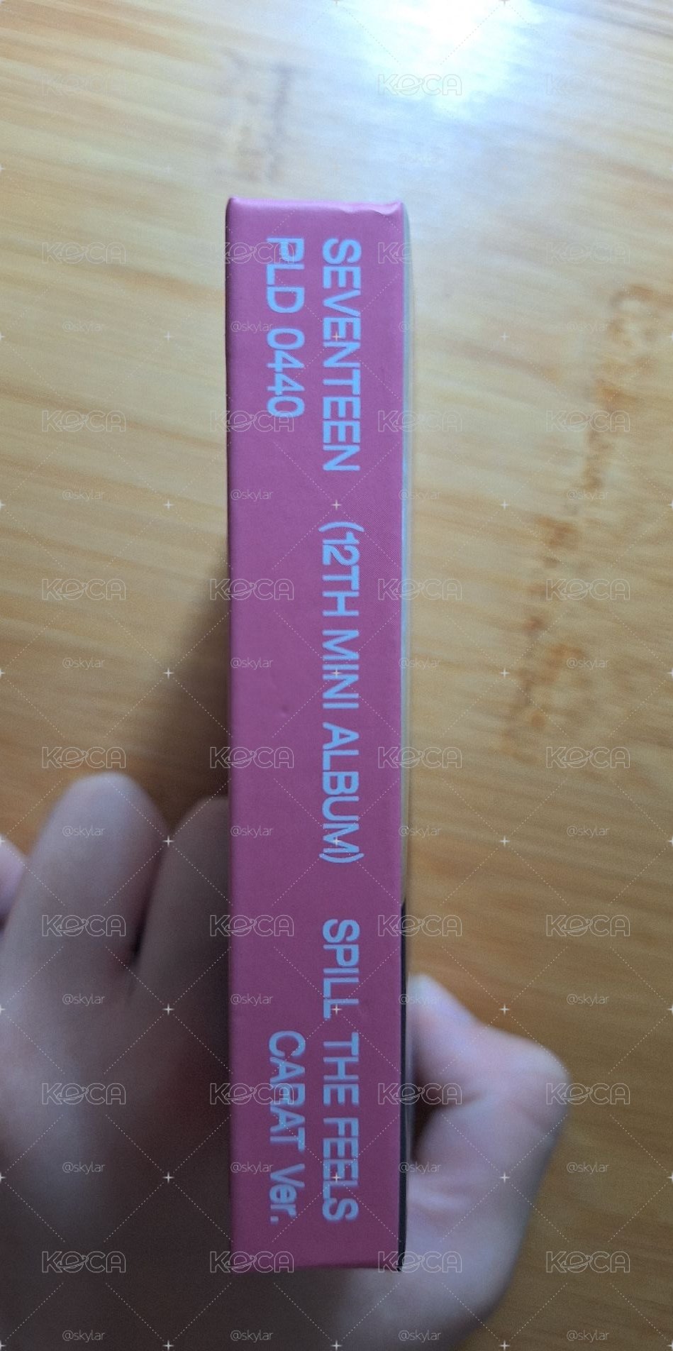 SVT奎克拉盤