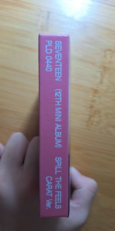 SVT奎克拉盤