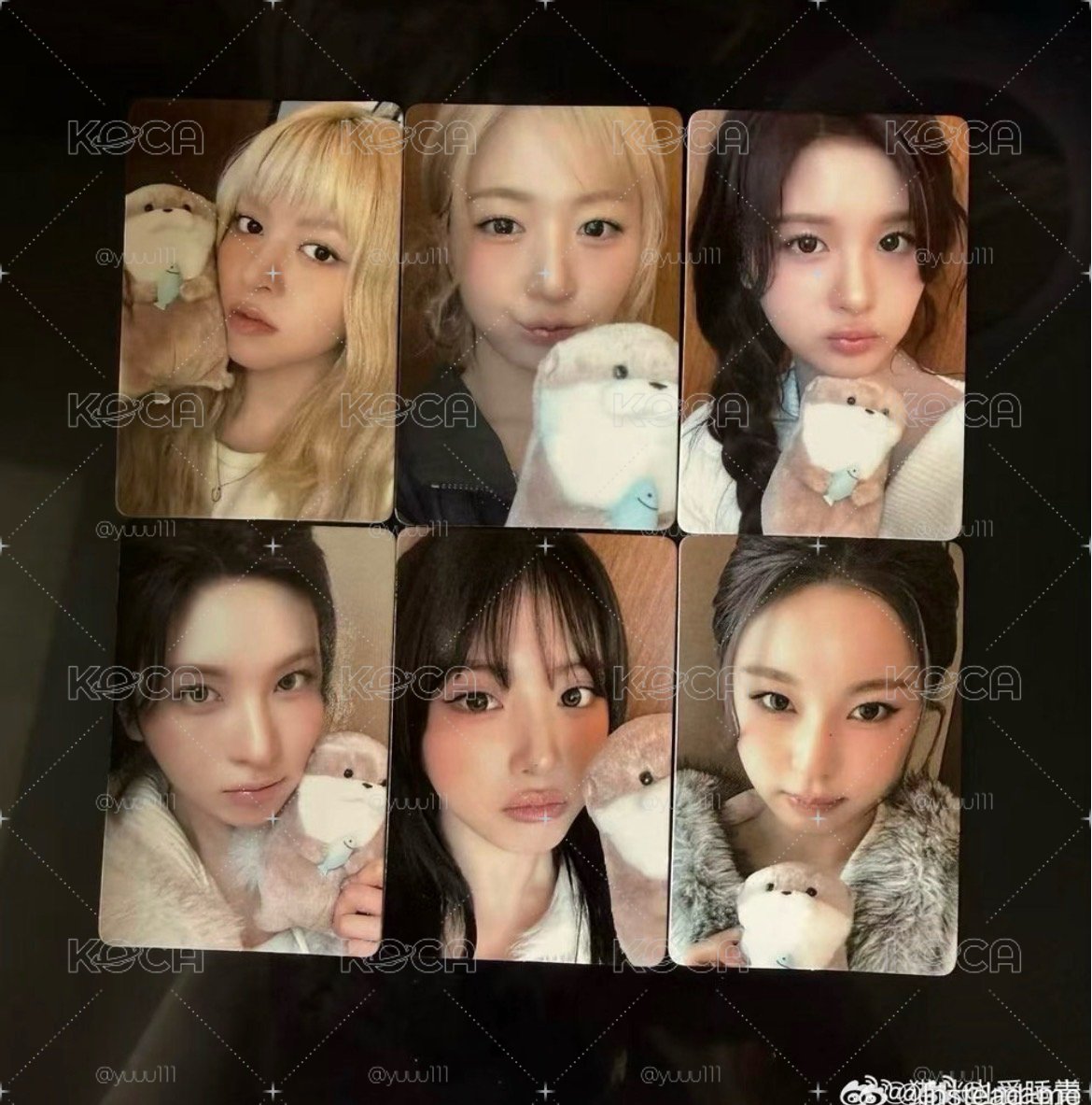 轉單 獺獺圭
