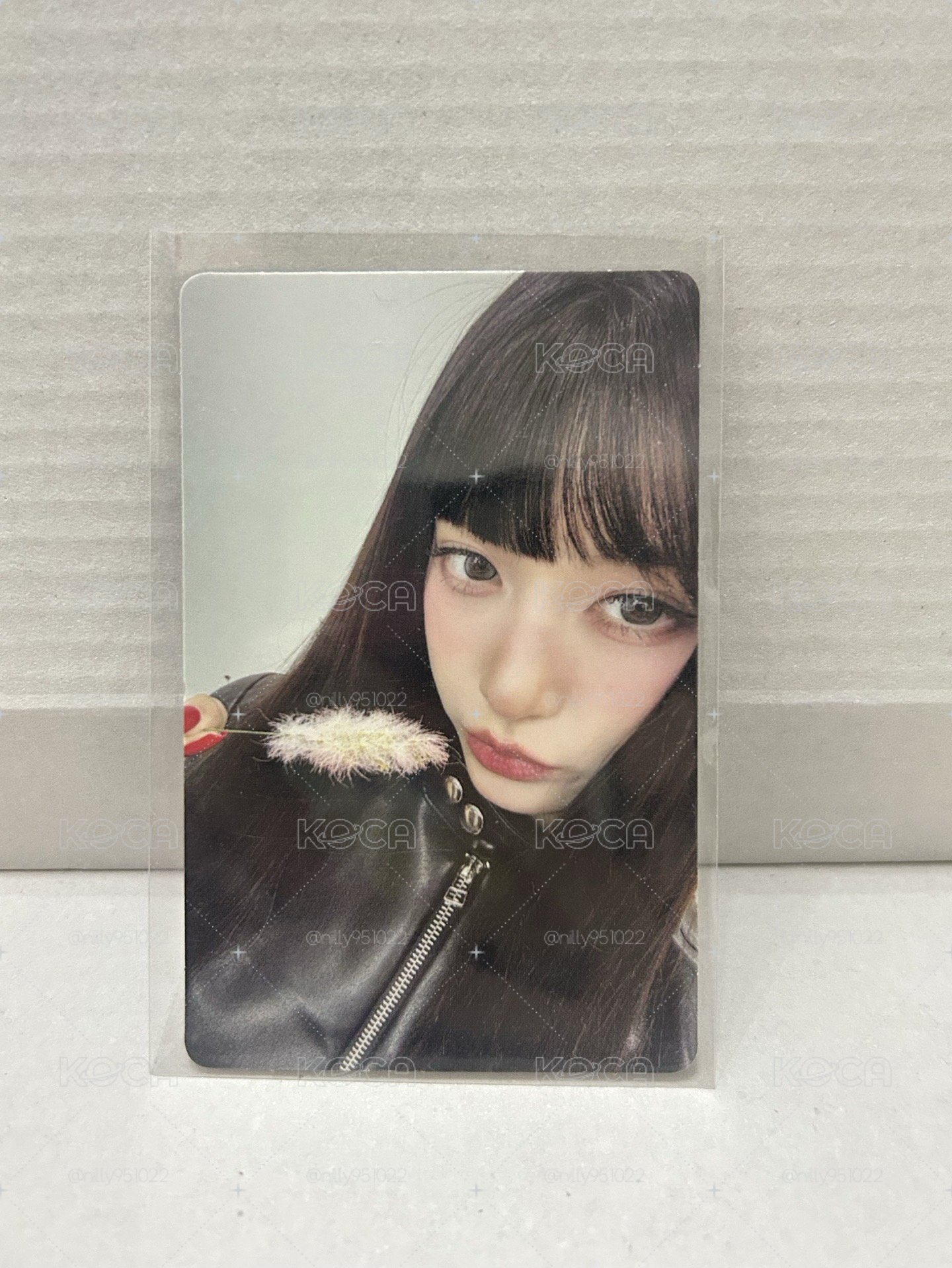 栗瑞現貨