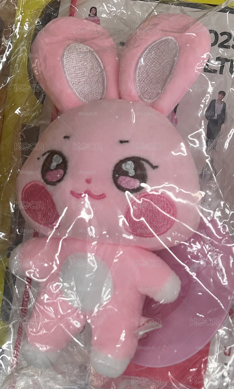 原皮星