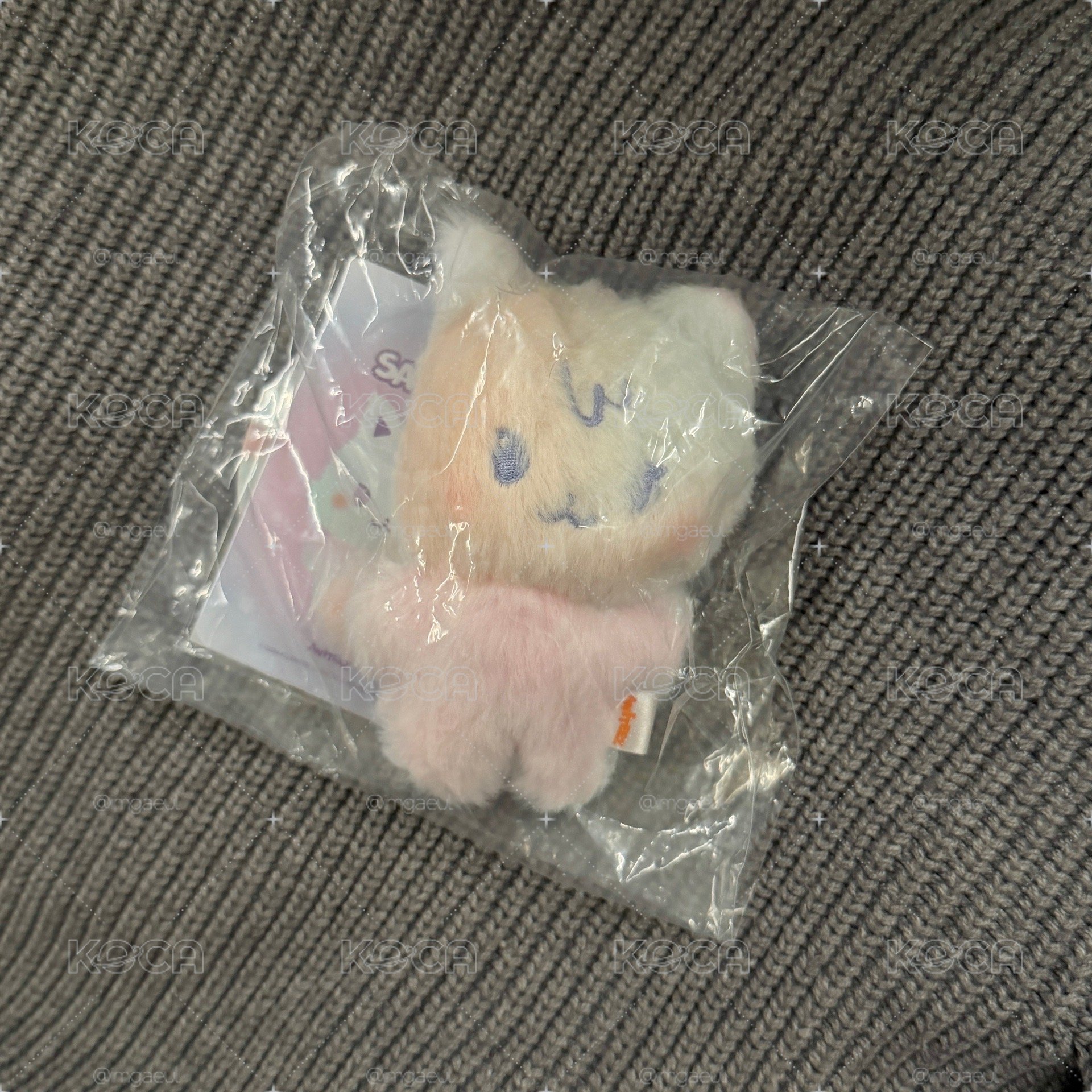 混色傘尼 🐱