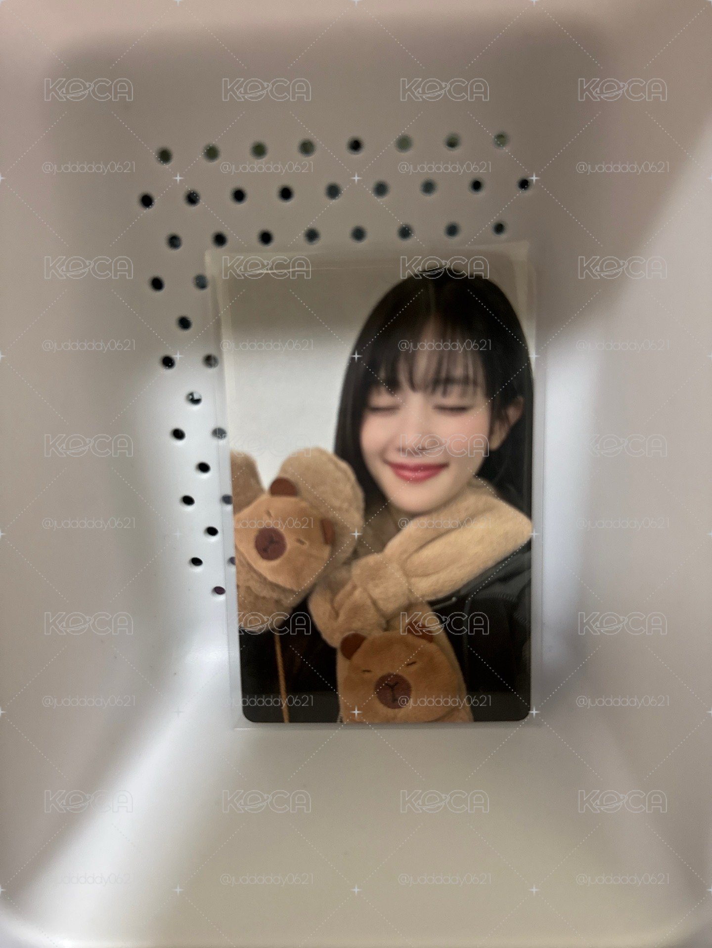 水豚妮正規二yzy特典