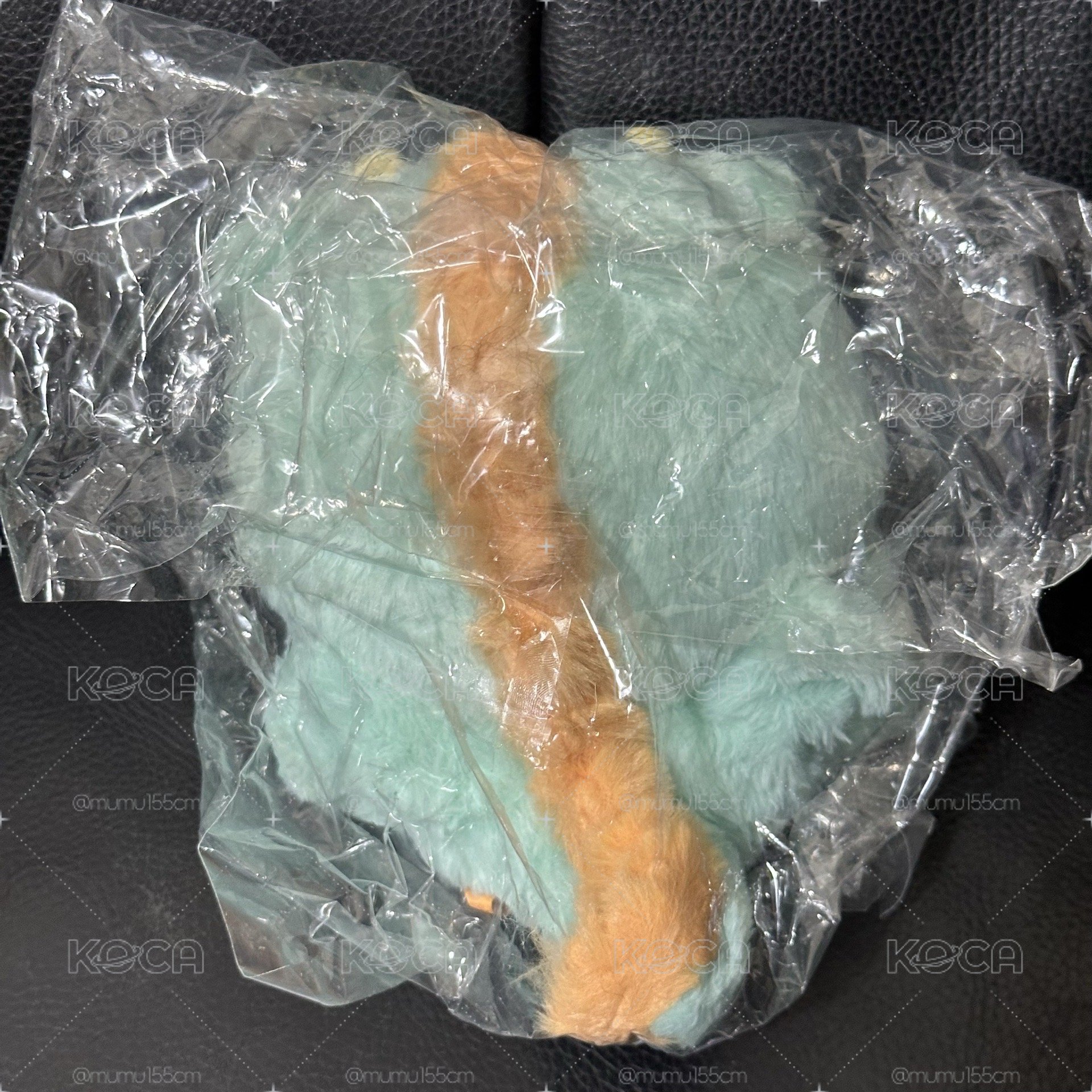 龍年吉伊S娃🐉