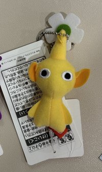 黃皮