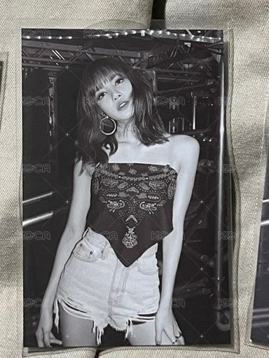 卡冊黑白歪頭莎