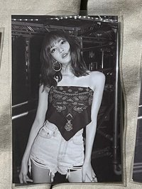 卡冊黑白歪頭莎