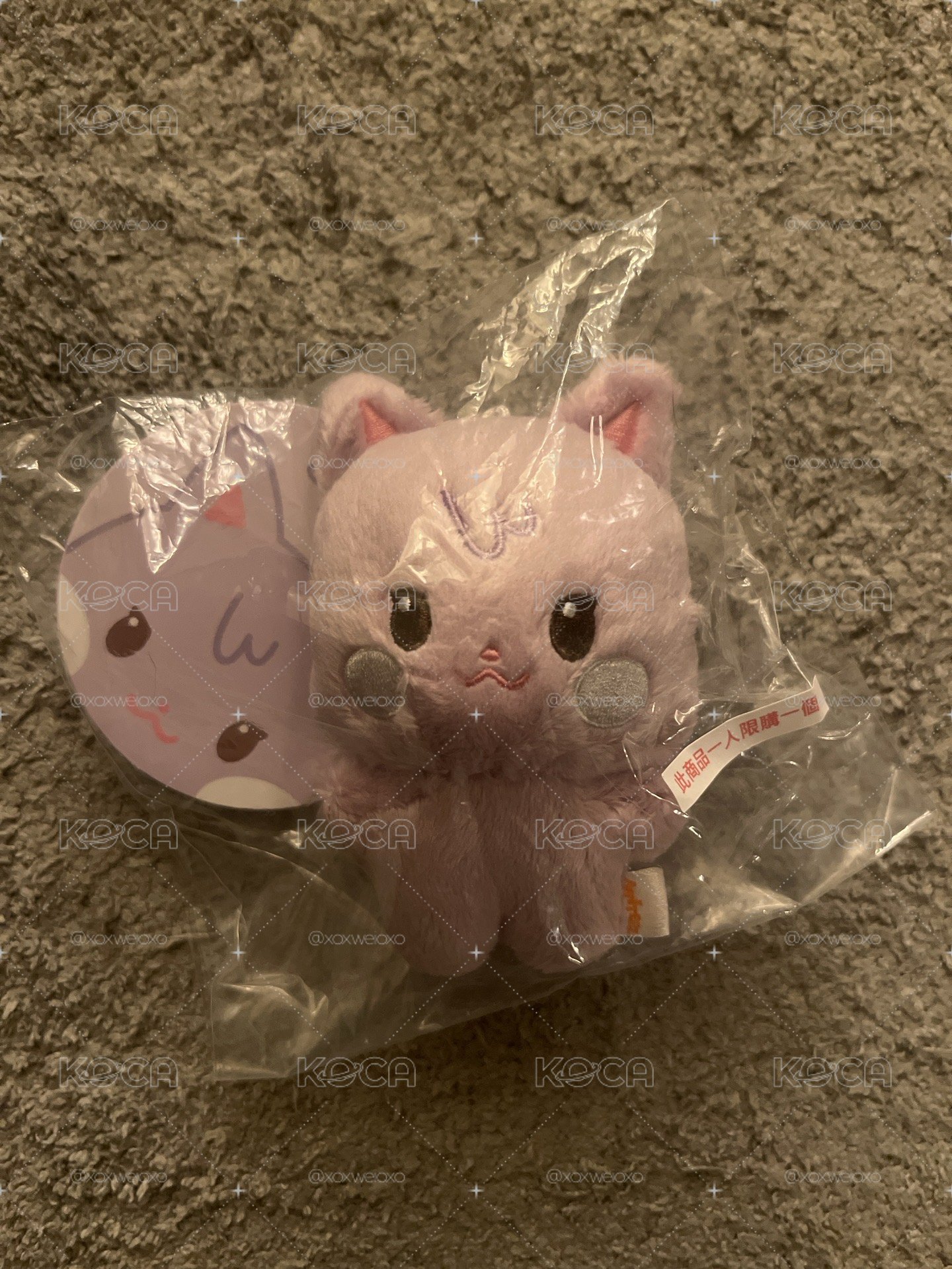TINY ANITEEZ PLUSH DOLL ［SANdeoki］