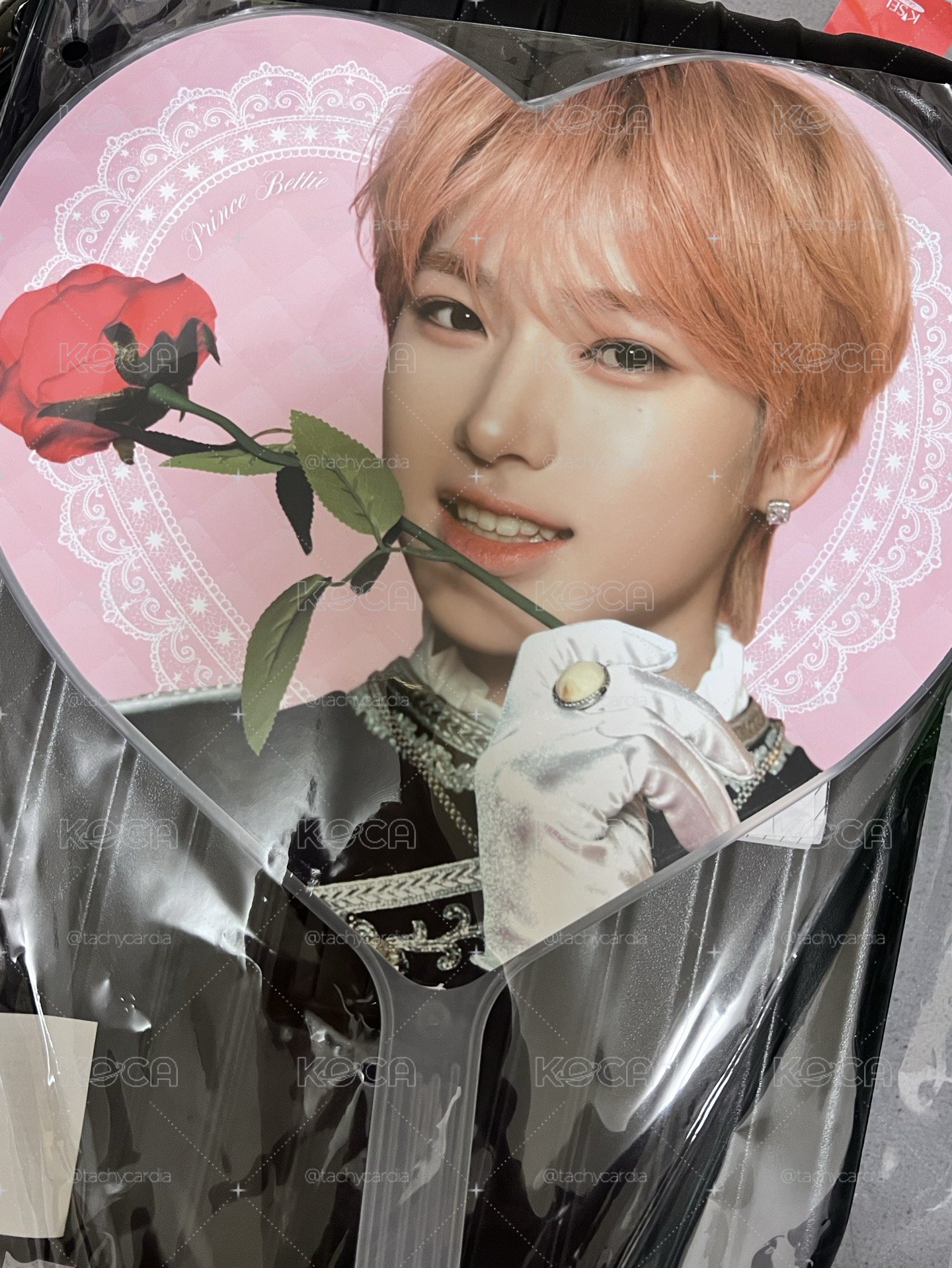 NCT WISH SAKUYA 兩週年王子扇