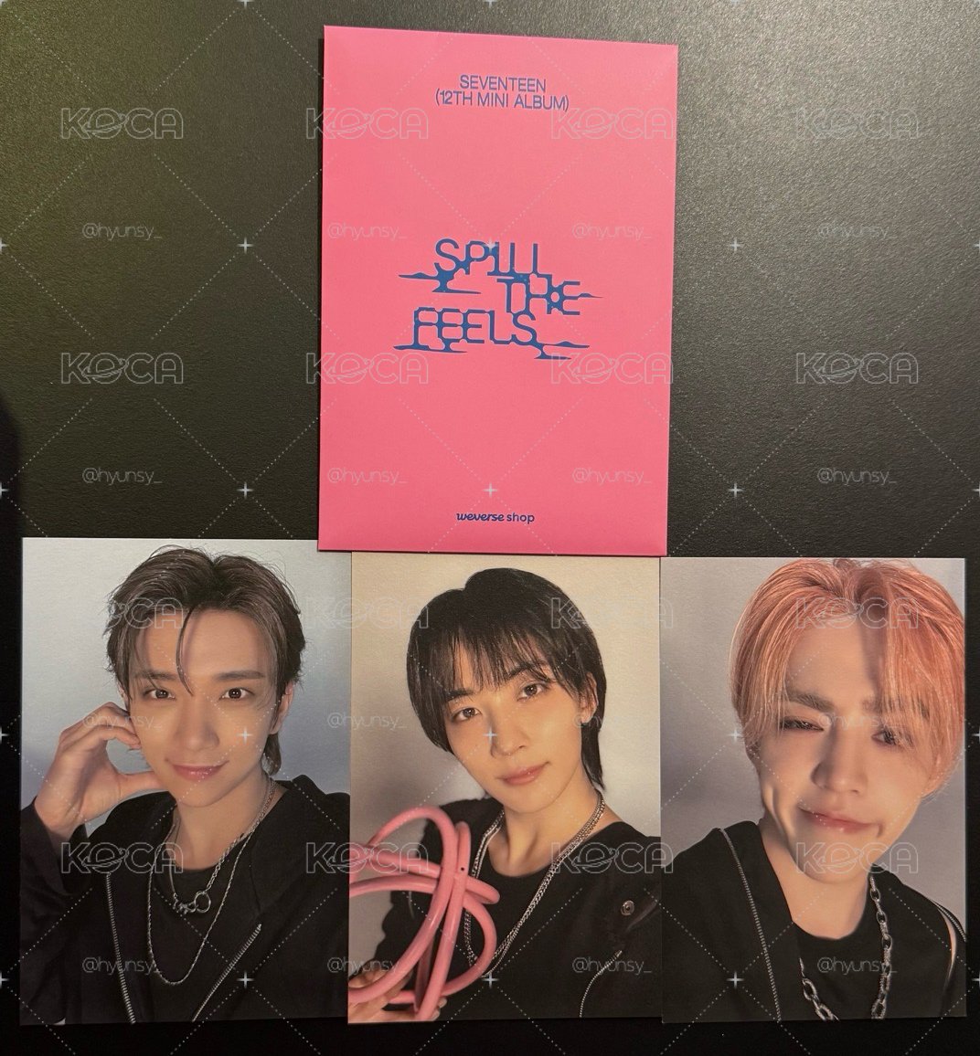 WVS 預購特典 95line 明信片 不拆售