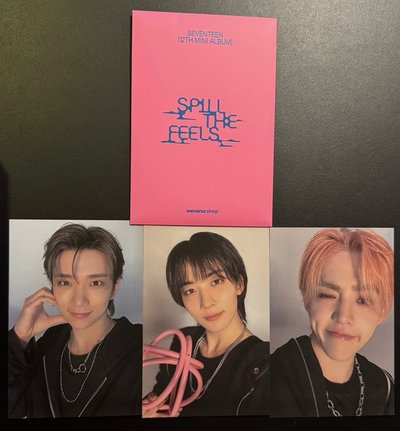 WVS 預購特典 95line 明信片 不拆售