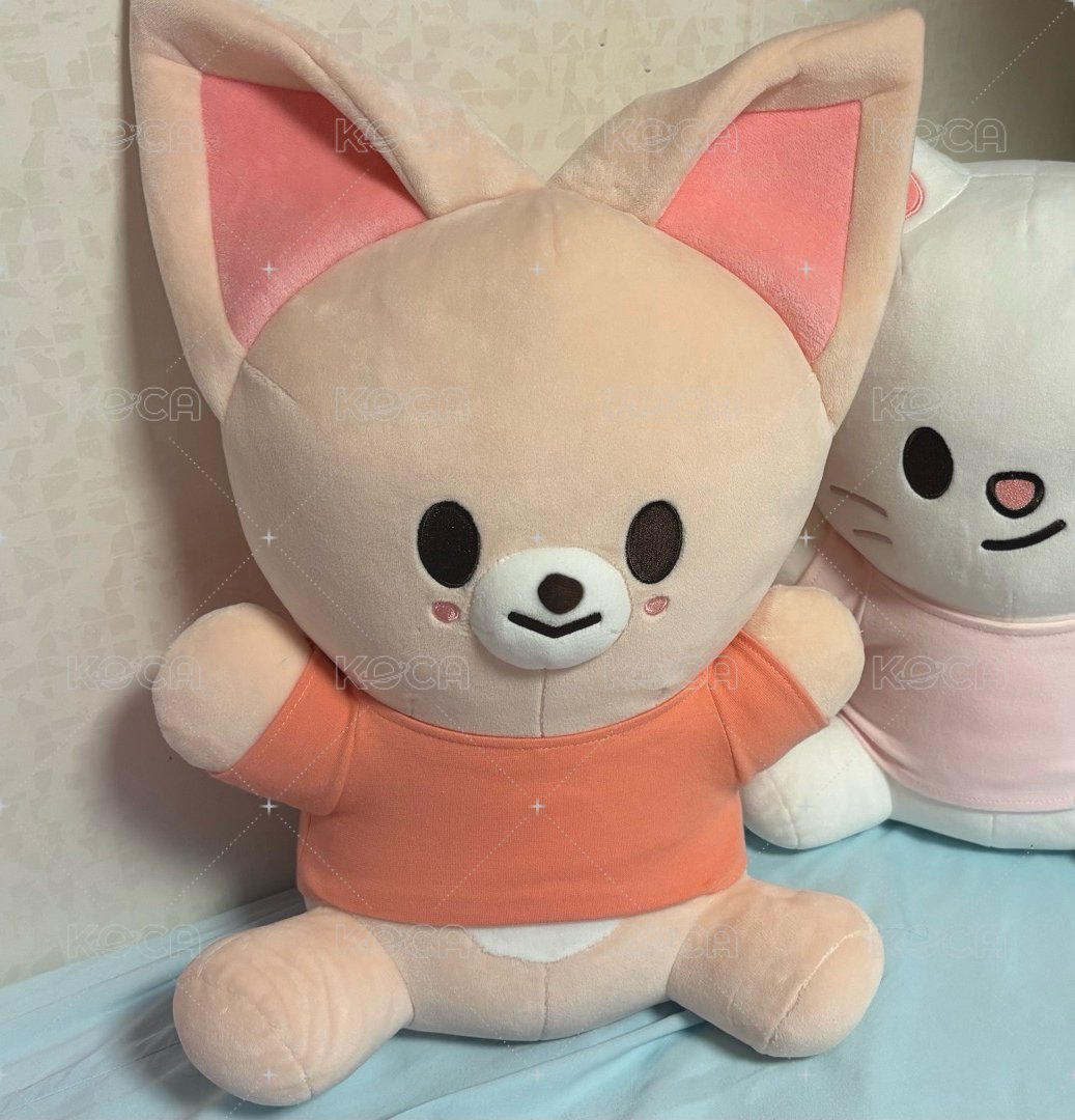 寅
