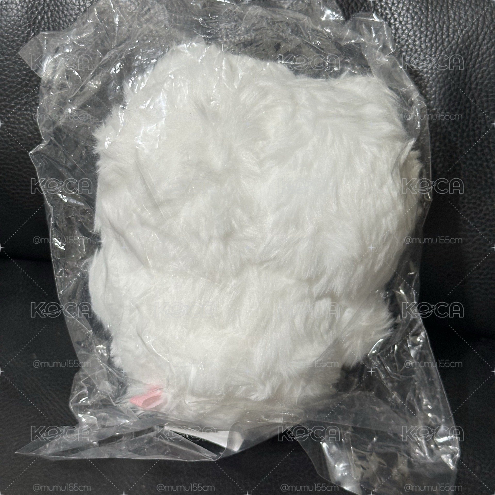 長毛吉伊S娃✂️