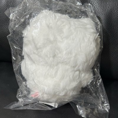 長毛吉伊S娃✂️