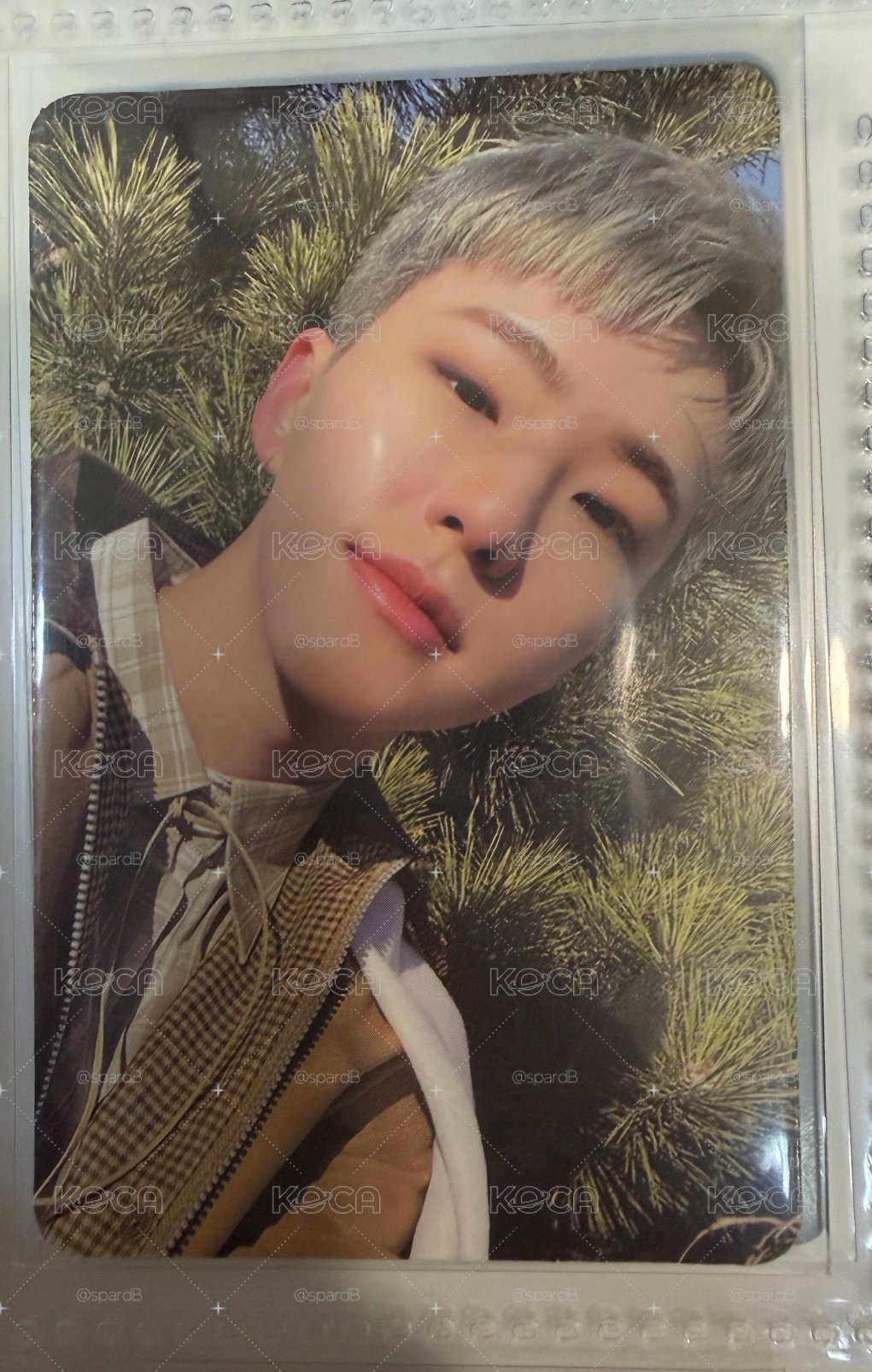 Seventeen 權順榮 face the sun （已保留 勿下單）