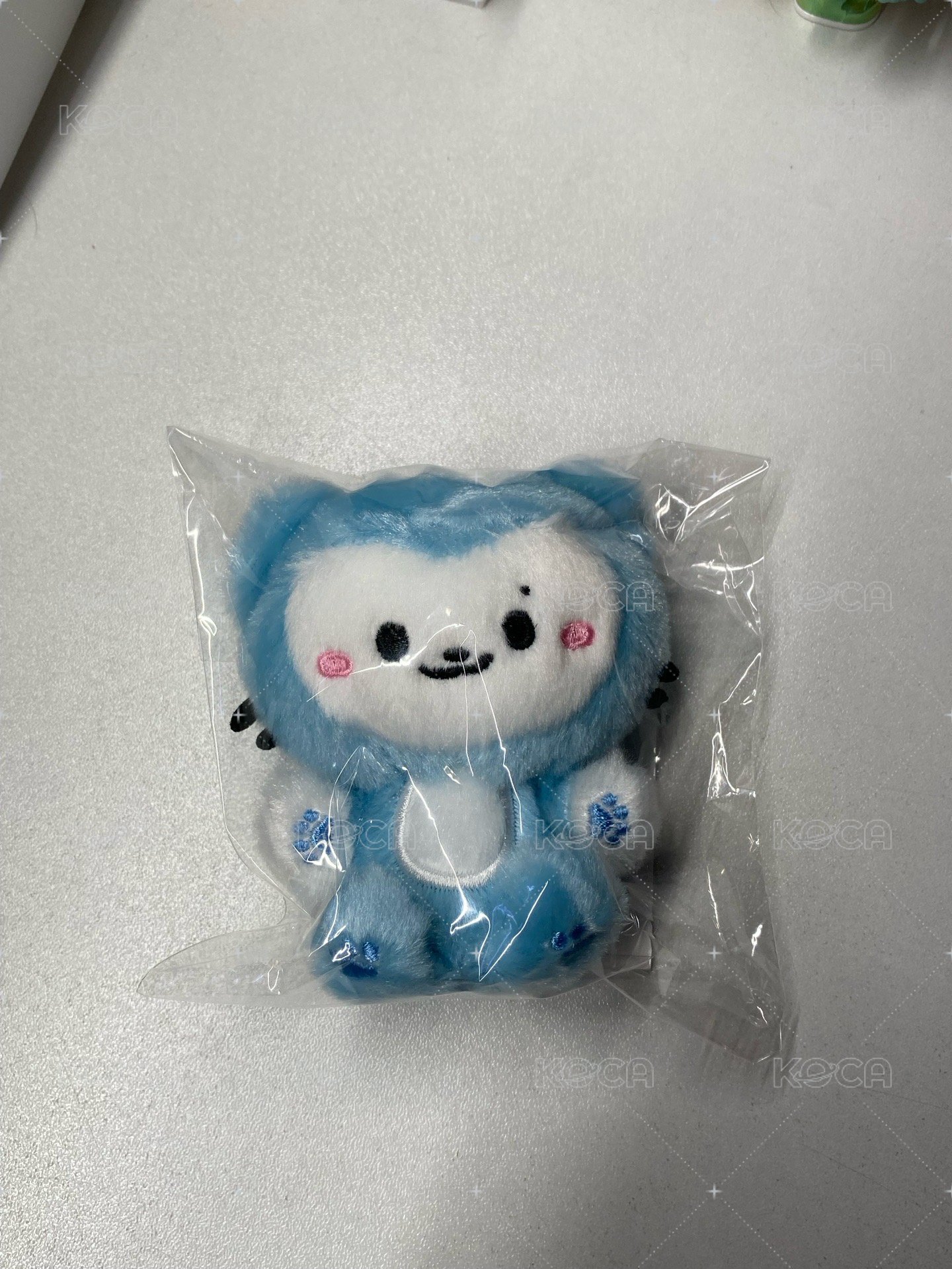 坐娃留