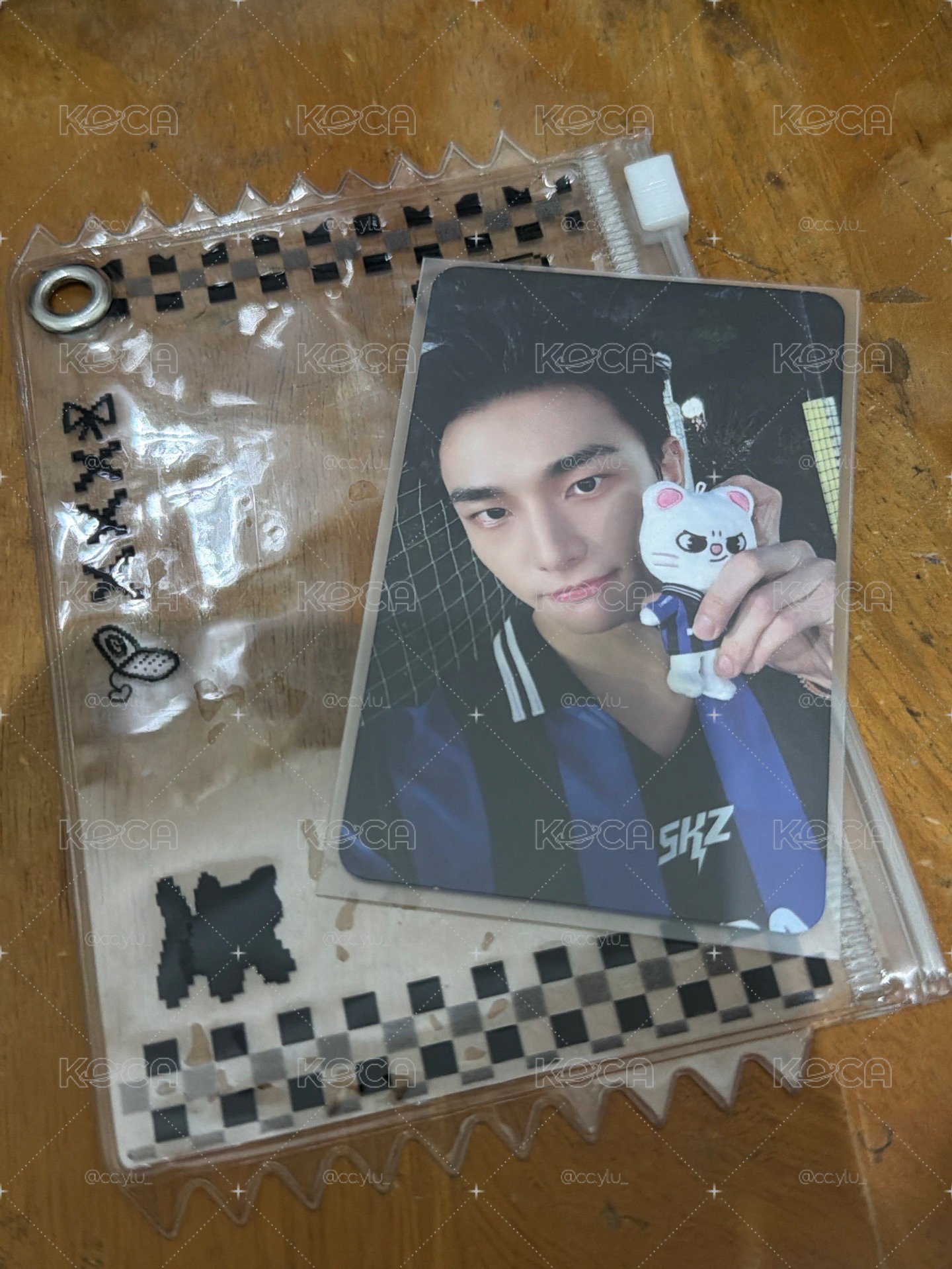 辰電子專卡（送卡套）