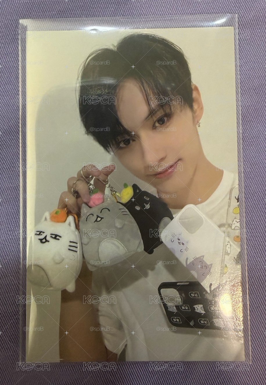 Seventeen 文俊輝 開門關門鎖門 artist made
