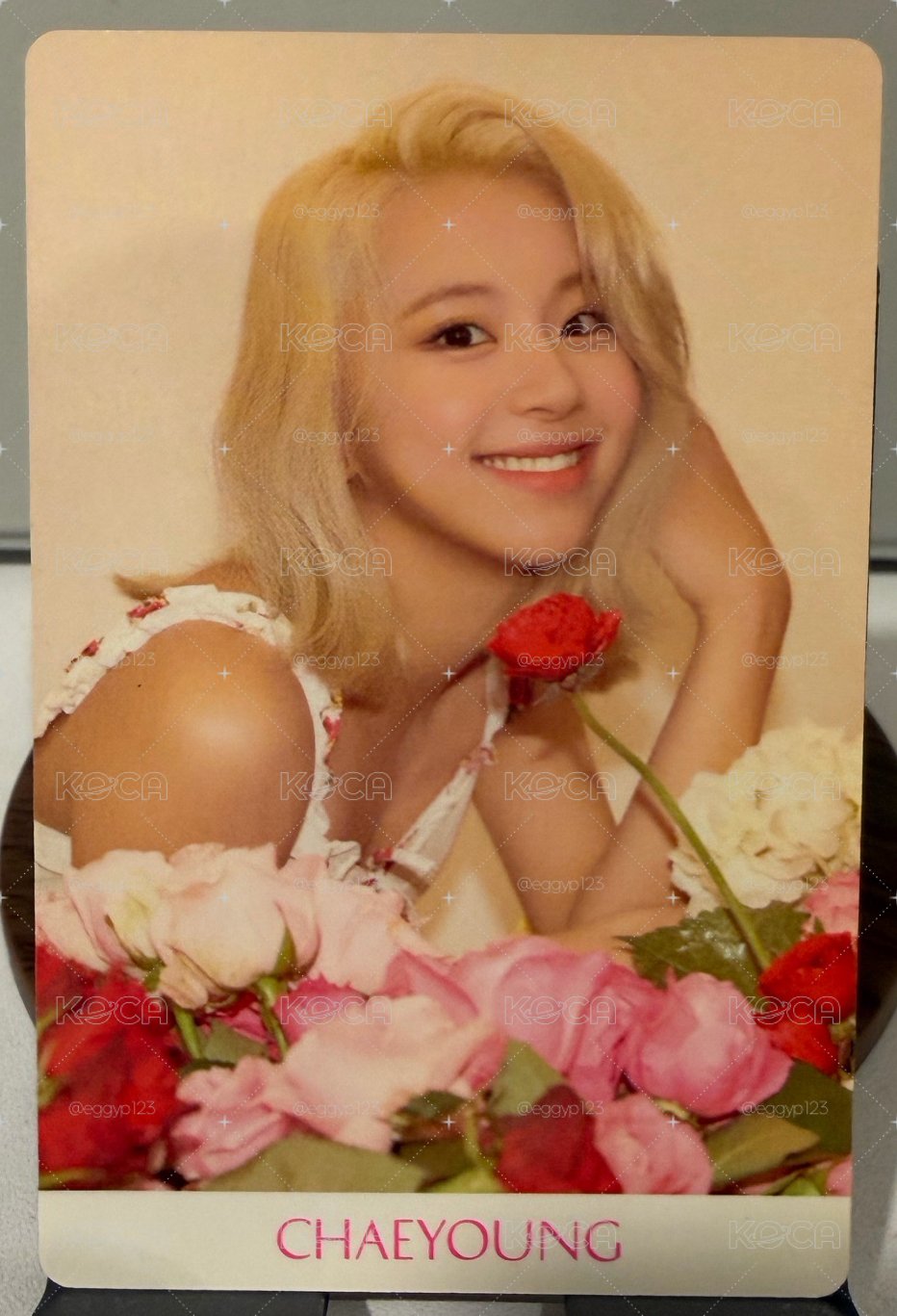 fancy 預售 花花彩