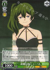 WS 遊戲卡 U